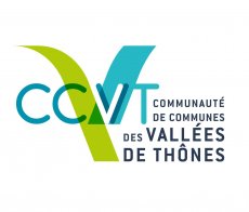 Logo CCTV