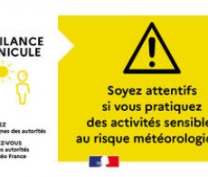 Canicule-point-de-situation-sur-l-alerte-CANICULE-niveau-JAUNE-jeudi-3-juillet-2025 large