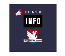 logo  flash info 2