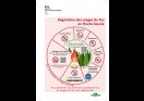 flyer-A5-regulation-usages-feux-V2-1-2 page-0001